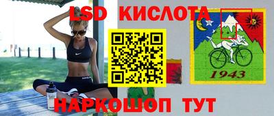 шишки Заводоуковск
