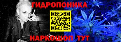 шишки Заводоуковск