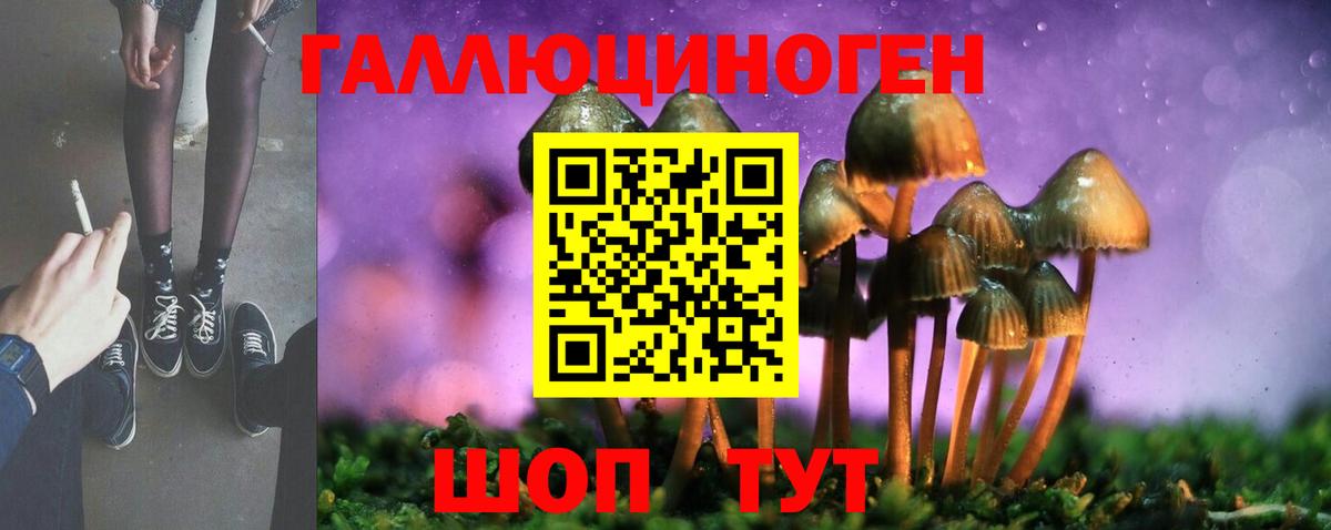 Лесосибирск  Псилоцибиновые грибы Cubensis  Псилоцибиновые грибы мицелий  Вход с VPN 